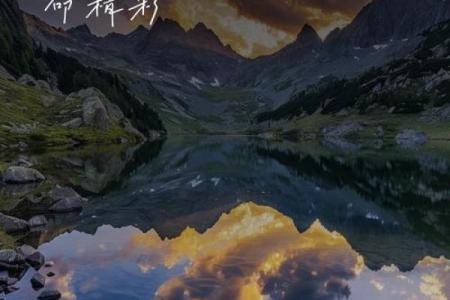 苦命的小孩与命运的抗争：爱的希望与坚持的力量