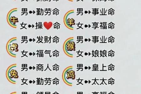 轻柳之命女：解析生辰命格的独特魅力及人生轨迹