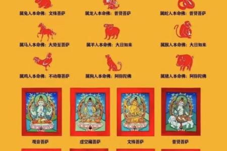 根据你属什么就是什么命，探寻国学智慧与人生的融合之道