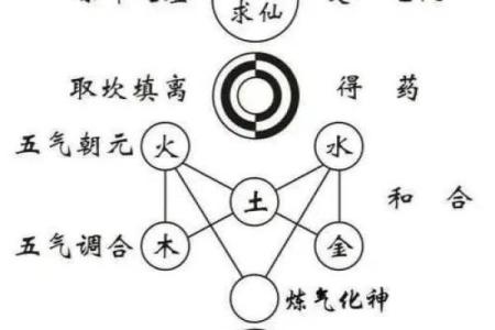 探索命引的奥秘：解读命引在生活中的重要意义和应用