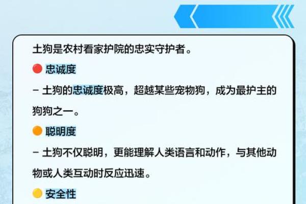 2018年土狗命运解读：性格特征与人生走向的深度分析