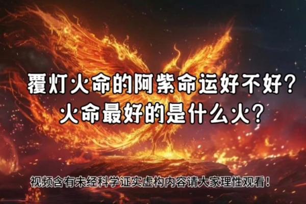 探秘：复灯火命与生肖的神秘联系