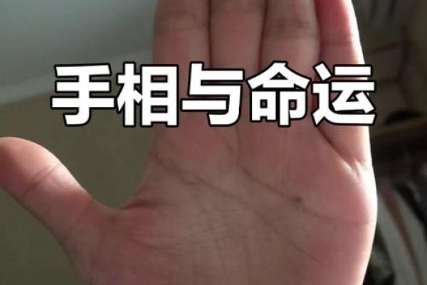 解密五簸箕男人的命运：从个性到事业的全解析