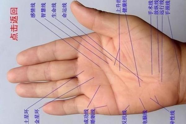 解密五簸箕男人的命运：从个性到事业的全解析