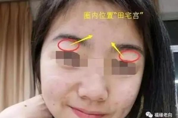 眉毛之下的命运：探秘面相学中的人生密码