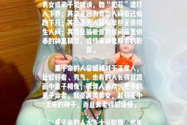 一年三次命，命运的神秘与启示