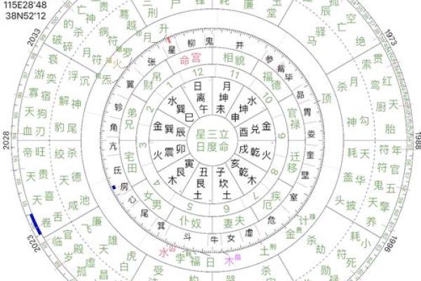 1976年出生的命运解析：探索命理与人生的奥秘