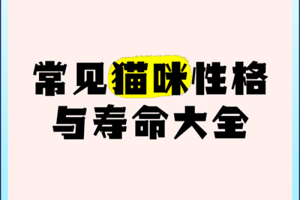 喜欢猫的人命运如何？解密猫咪爱好者的性格与运势！