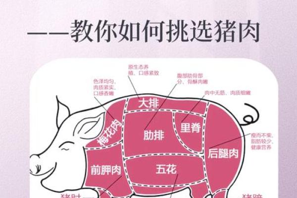 火命养猪的独特优势与养殖技巧探讨