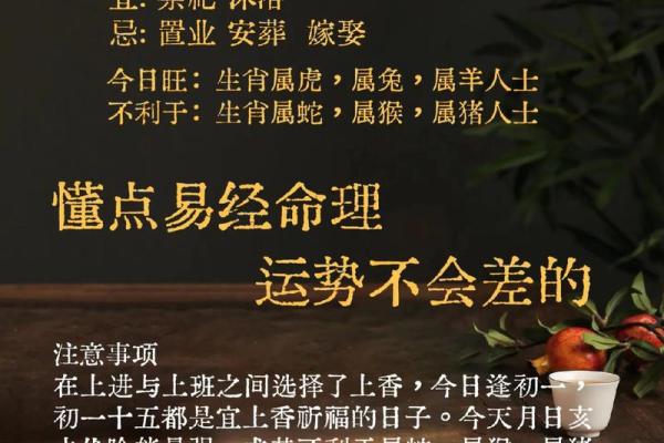 火命之人的职业选择：发挥热情与能量的最佳方向