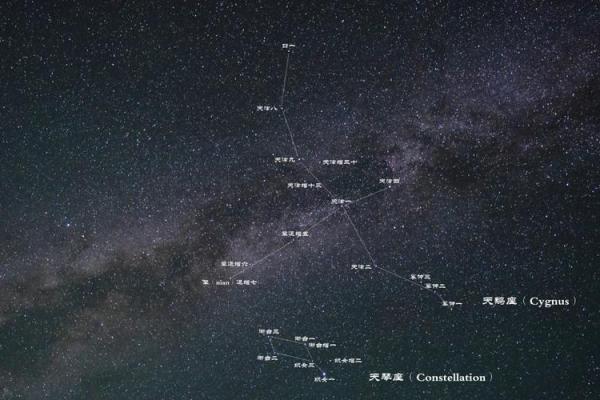 探寻星辰奥秘：十二星座命理解密之旅