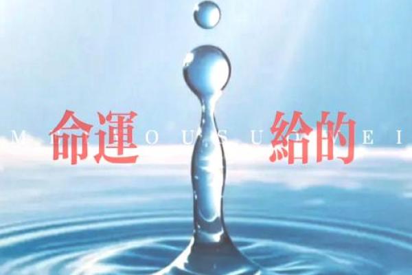 2023年：揭示你的命运与机遇，掌握人生新篇章