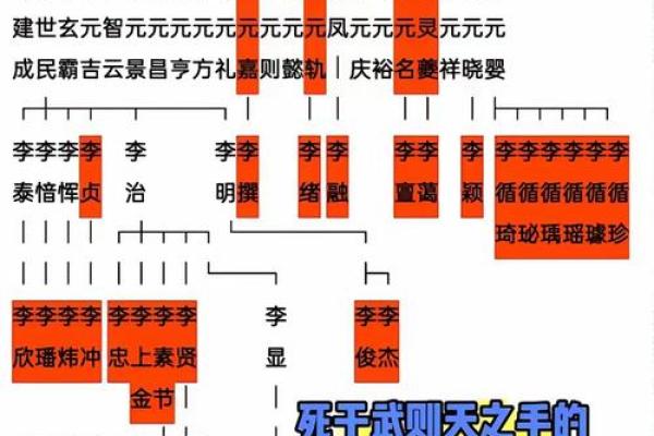 赠命天子：权力、责任与历史的交汇点