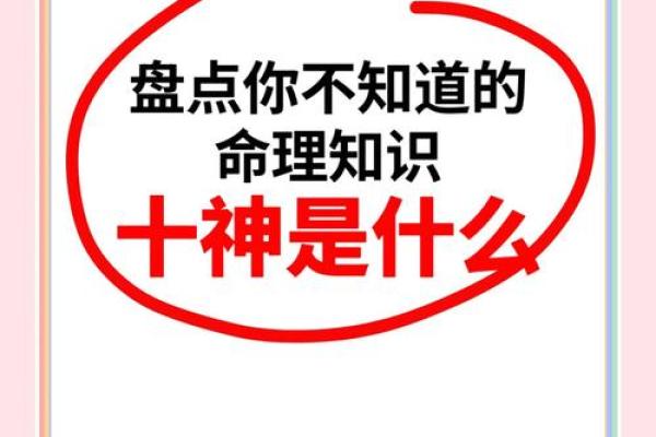 2007年命运揭秘：了解属于你的命理之旅
