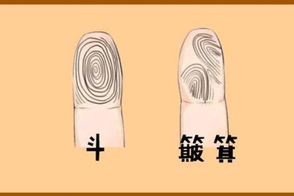 手指簸箕解命理：从简单动作看人生运势