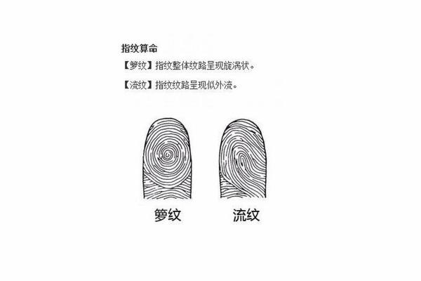 手指簸箕解命理：从简单动作看人生运势
