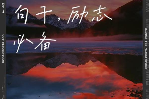 69年属鸡的命运解析：迎接人生每一个转折的智慧与勇气