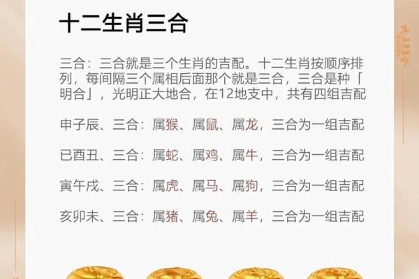 1976年属兔的命运与性格解析：解锁兔年人的独特魅力与智慧