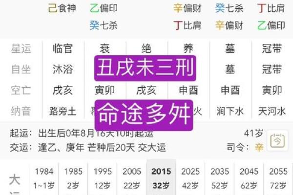 探索八字命理：丁酉、己酉、甲寅、辛未命格分析与人生导向