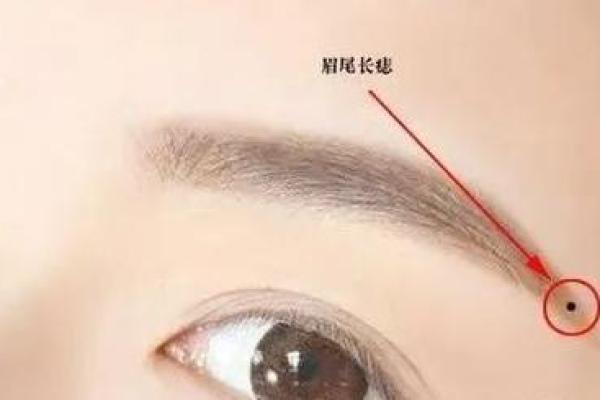 女人长什么眉毛命好，眉形运势大揭秘！