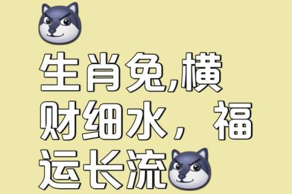 2011年属兔的命运解析：财富、人生与性格的深度剖析