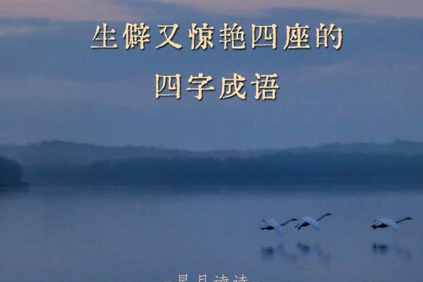 悬念迭起：揭示成语中的智慧与魅力