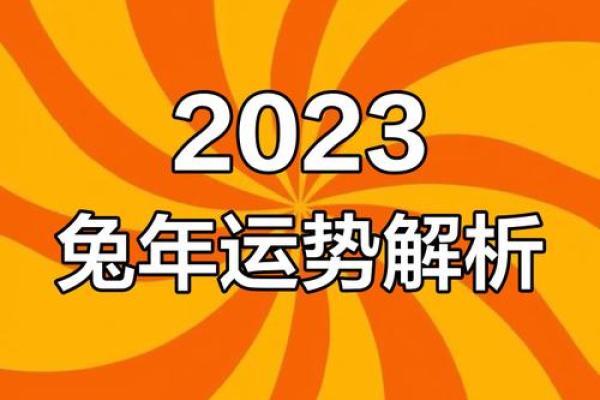 35岁兔年出生的人生运势解析与命理智慧