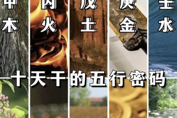 1947年出生的人：命运与五行的神秘探索