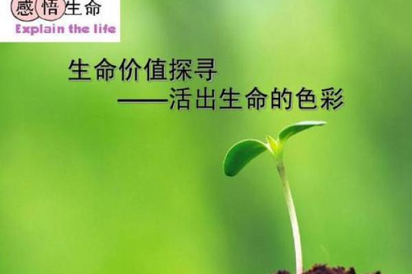 一命还一命：探寻生命的价值与意义