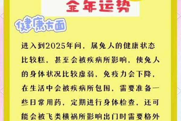 2013年兔人命运解析：破解兔年的吉凶与未来机遇