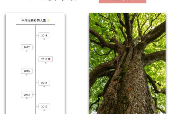 2005年男孩的命格分析：掌握人生的秘密与成功之路