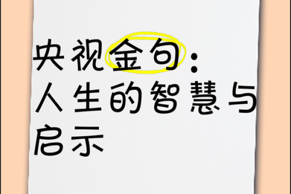 62岁的人是什么命？探索人生的智慧与机遇