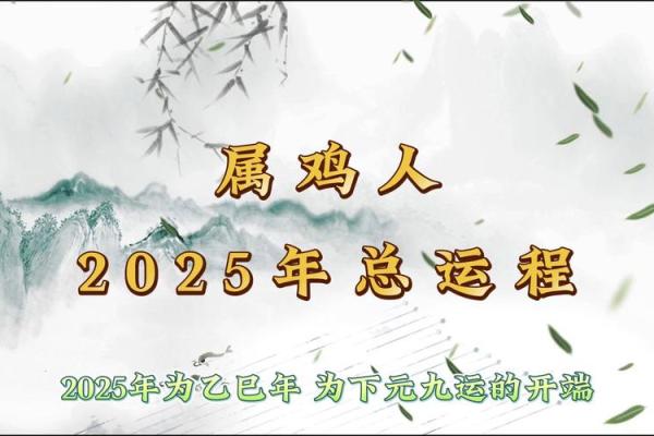 58年属鸡女性的命运解读：魅力与挑战并存