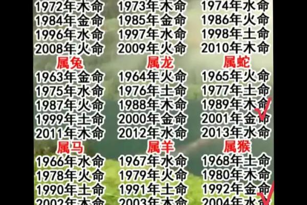 2007年属猪的水命解析：财富与幸福的双重道路