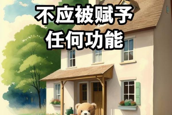 2005年出生的孩子：未来的希望与无限可能