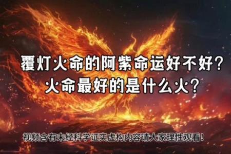 探秘：复灯火命与生肖的神秘联系