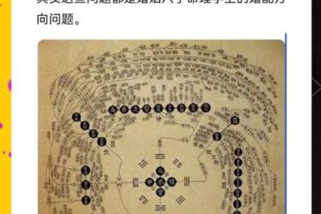 八字命理：男命独占鳌头，还是男女皆适用？
