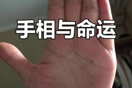 解密五簸箕男人的命运：从个性到事业的全解析