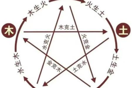 1965年佛灯火命的命理分析与命运补缺之道
