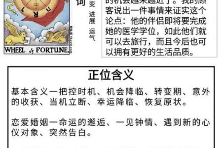 探索命运之迷：了解哪个命盘最适合你的算命需求