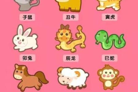 2020年你的命运与农历十二生肖的神秘关联