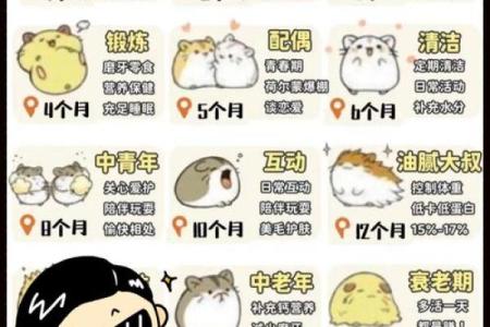 探索2020鼠宝宝的命缺与人生发展之道