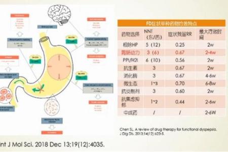 探索身命体征中的“p”的奥秘：健康管理新视角