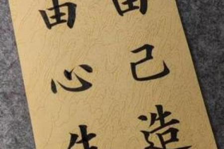 探索《心命》：感悟生命与爱的真谛