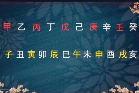 在甲子轮回中探索91年生人之命运之谜