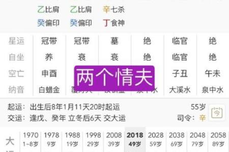 探索八字命理：丁酉、己酉、甲寅、辛未命格分析与人生导向