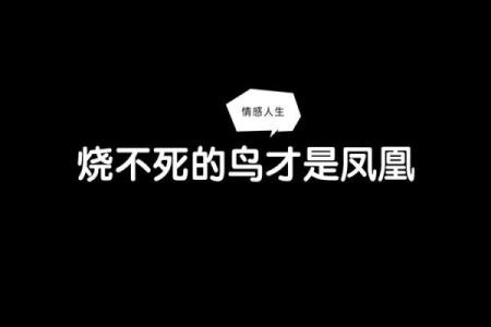 鸡冠变黑：命理中的象征与启示