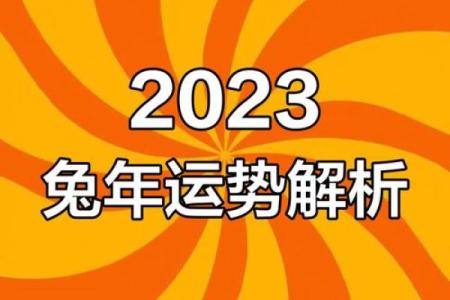 35岁兔年出生的人生运势解析与命理智慧