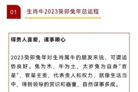 2013年兔人命运解析：破解兔年的吉凶与未来机遇