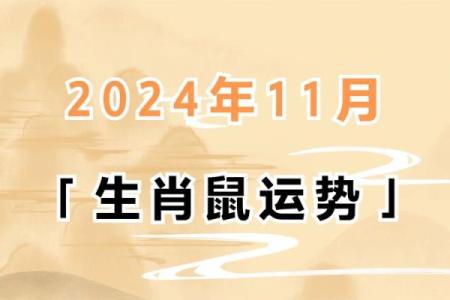 属老鼠的命运解读：智慧与机遇的结合之道